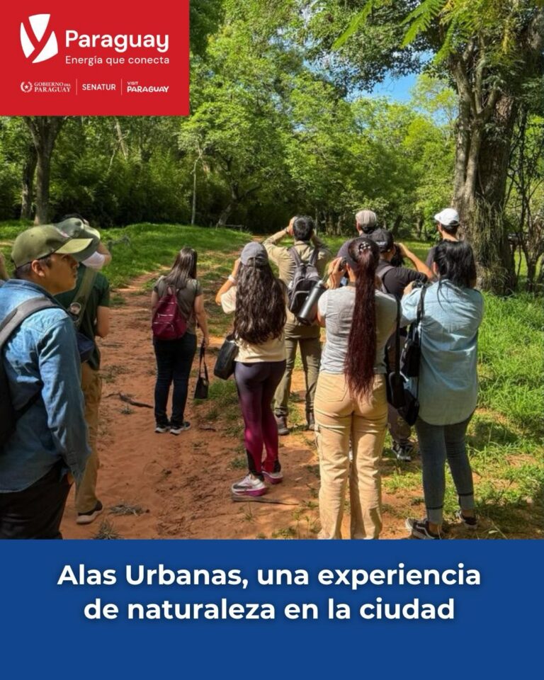 Una experiencia única de conexión con la naturaleza