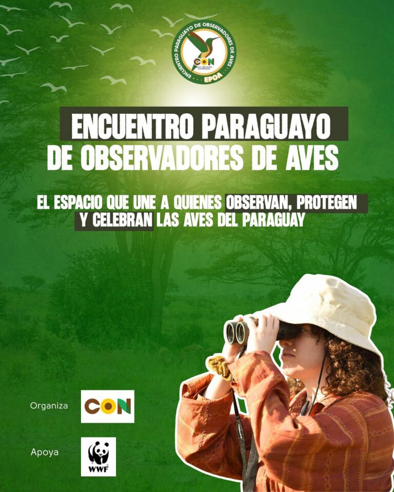 Una tarde de cine y naturaleza