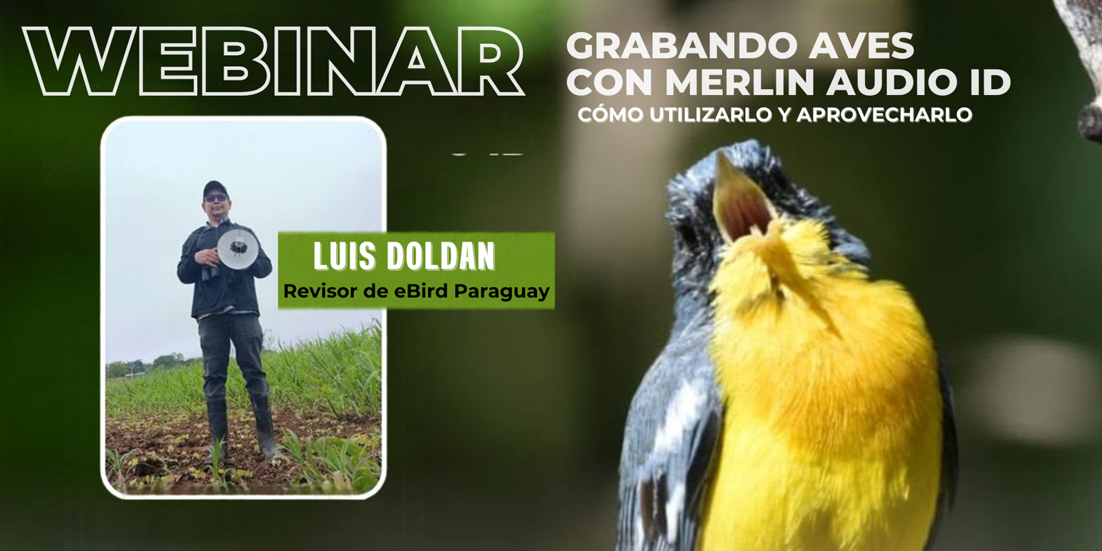 Webinar “Grabando aves con Merlin Audio ID”